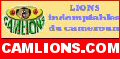 Camlions.com : Lions indomptables du cameroun